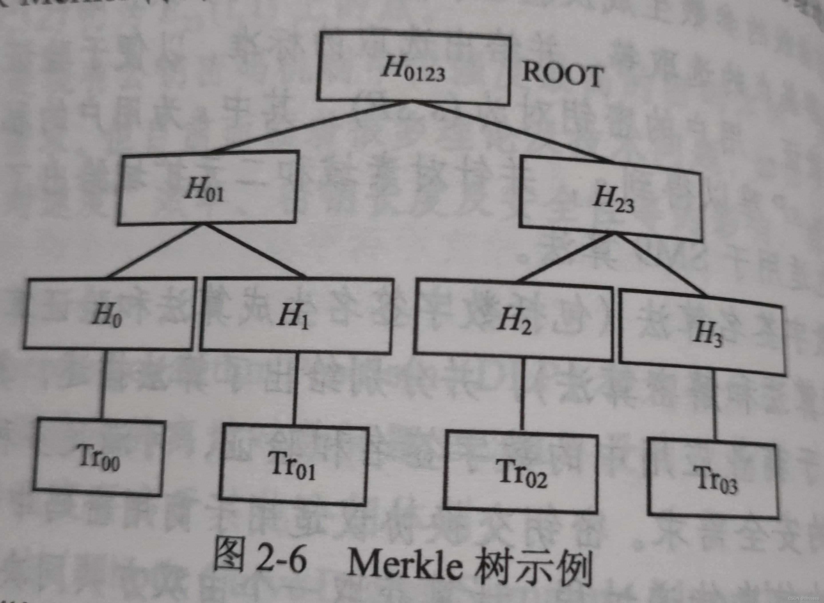 区块链哈希冲突(区块链中的哈希到底是做什么)